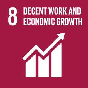 SDG 8 Decent Work