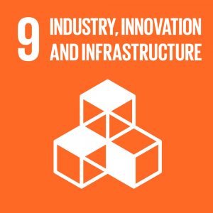 SDG 9 Innovation