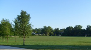 Field near school