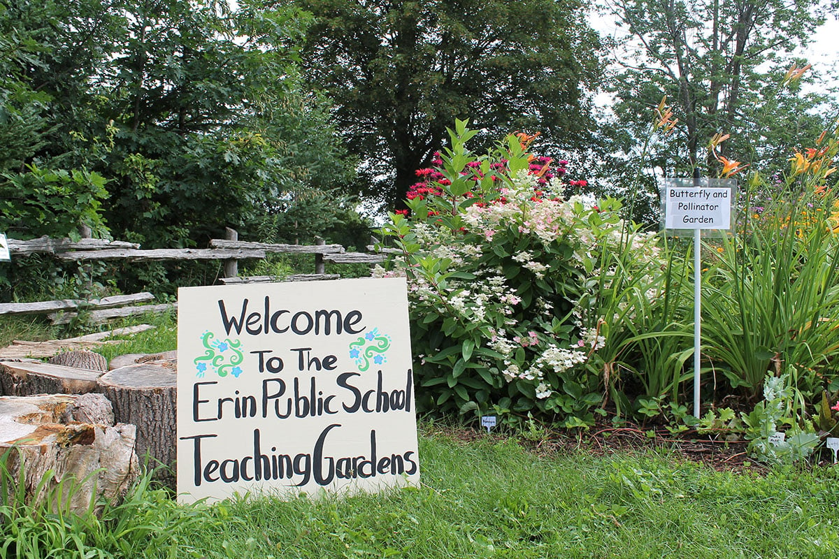 Teaching gardens are pictured at Erin Public School on July 26, 2017.