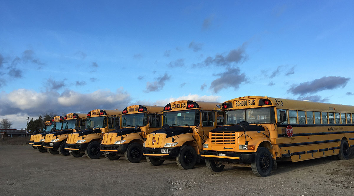 Image of several school buses