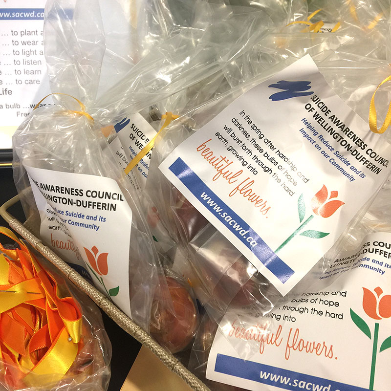 Tulip bulbs are pictured at the Guelph UGDSB board office on Sept. 7, 2017. Sept. 10 is World Suicide Prevention Day.