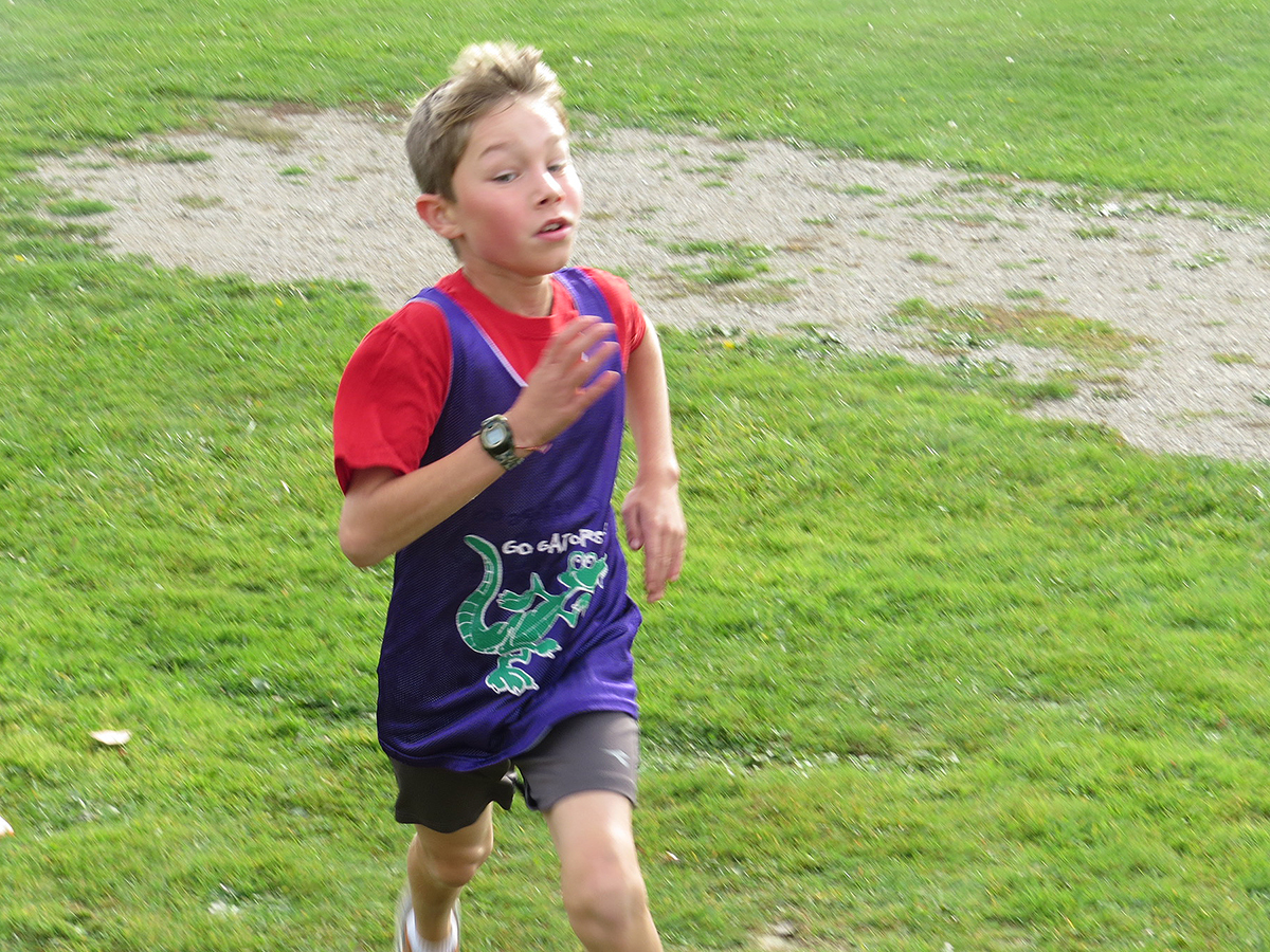 Runners from schools in and around Guelph went the distance on Monday Oct. 23, competing in the 2017 Aberfoyle cross-country meet.