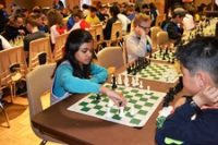 Chess Tournament 7   Spotlight Image