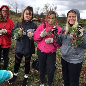 CHSS students visited Everdale Farm, fall 2018.