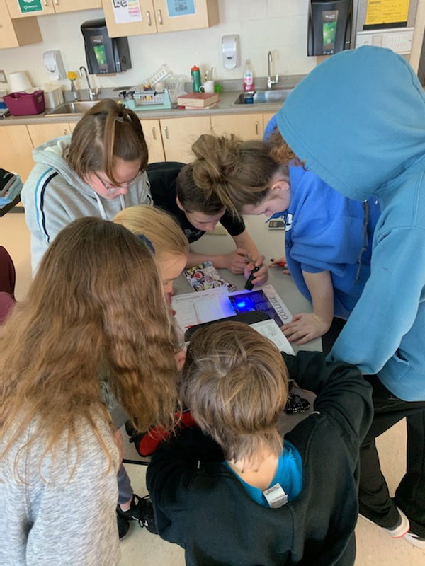 Arbour Vista PS students learn about Pathways through escape room
