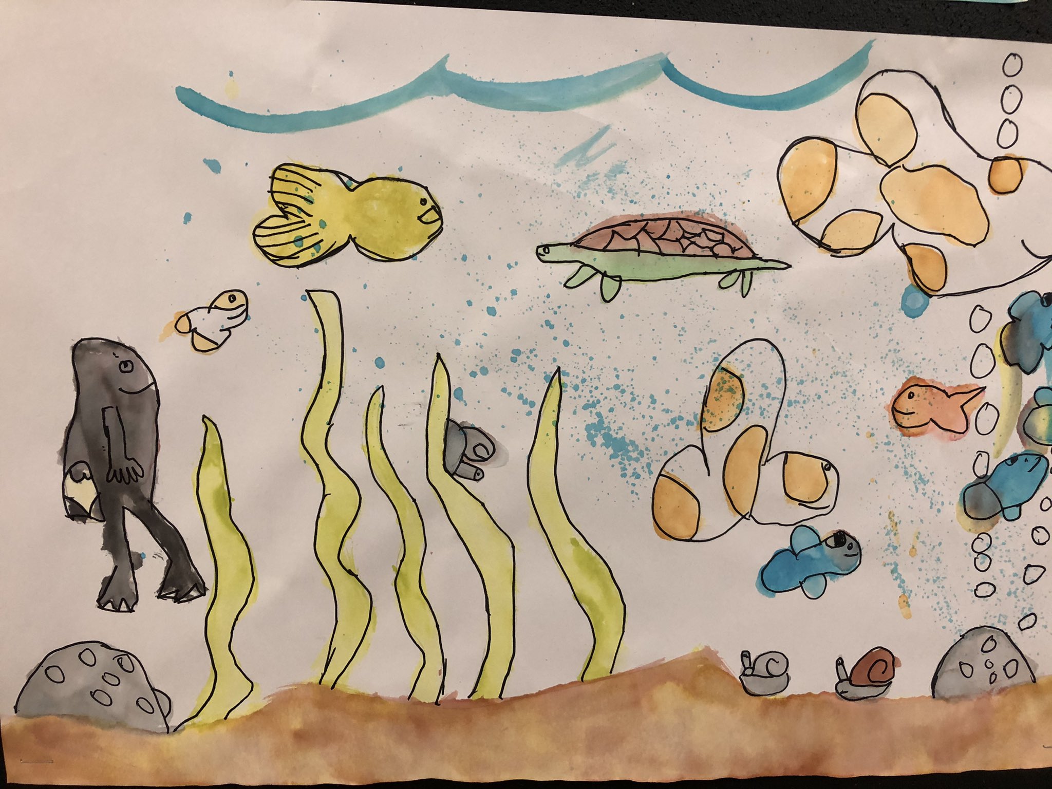 Waverley Drive PS student drawing of an aquarium