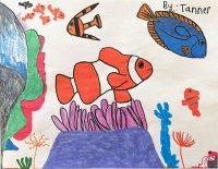 This phot features a hand drawing of marine life, including a clownfish, a blue tang fish in a coral reef environment.