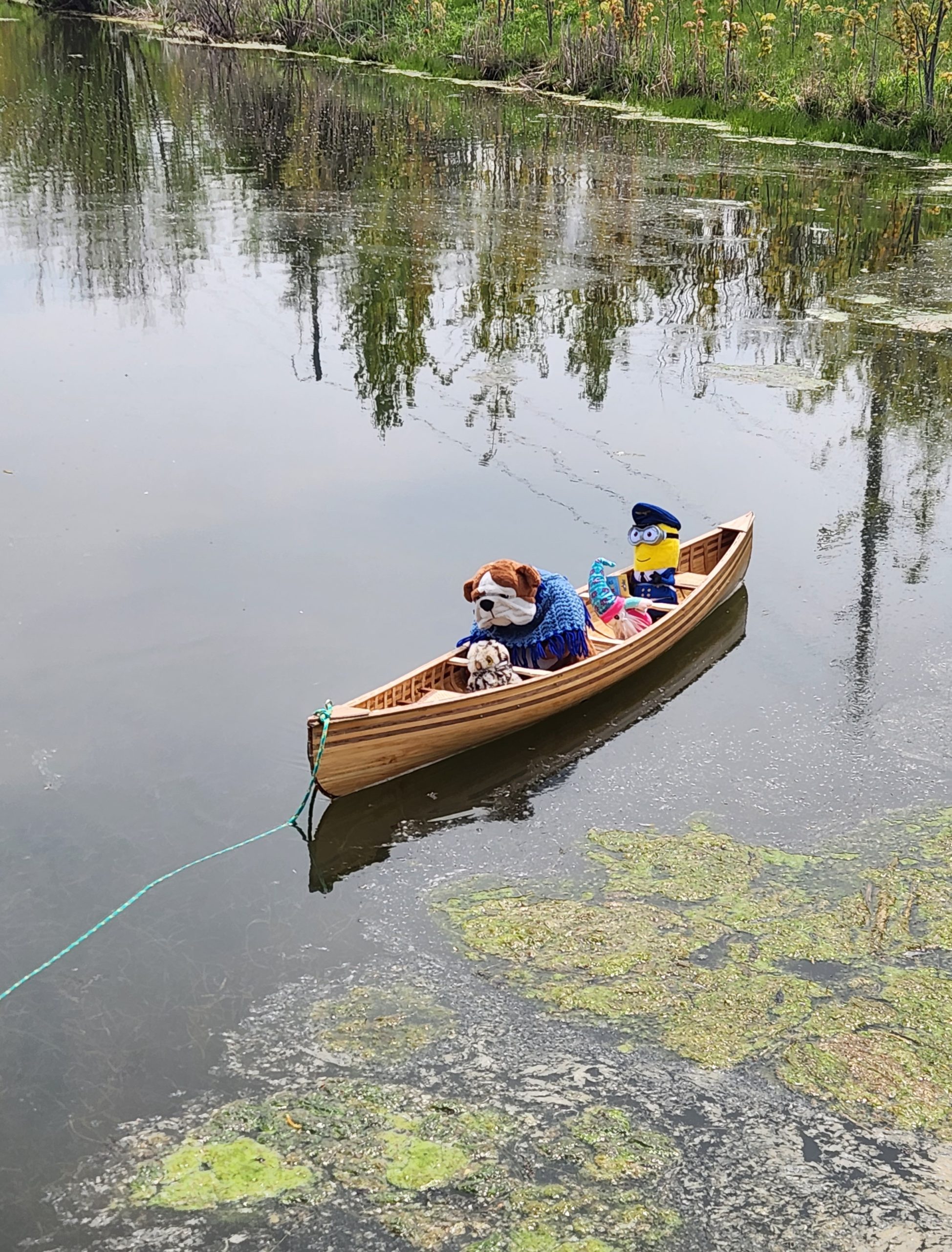This photo features a canoe with four plushies floating over the water.
