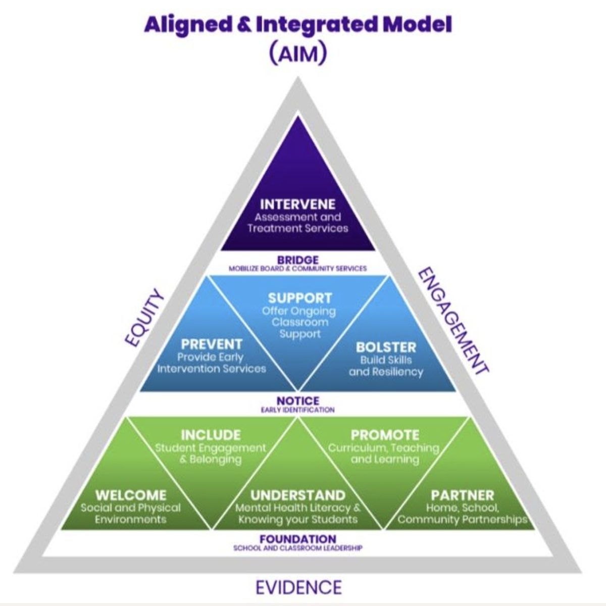 diagram of AIM model