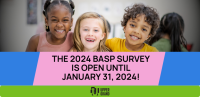 Big Promo Basp Survey 2024 (1)